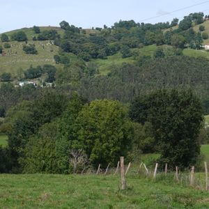 Reunión presencial de la Comisión Ejecutiva Ampliada de CREUP - Foto 1